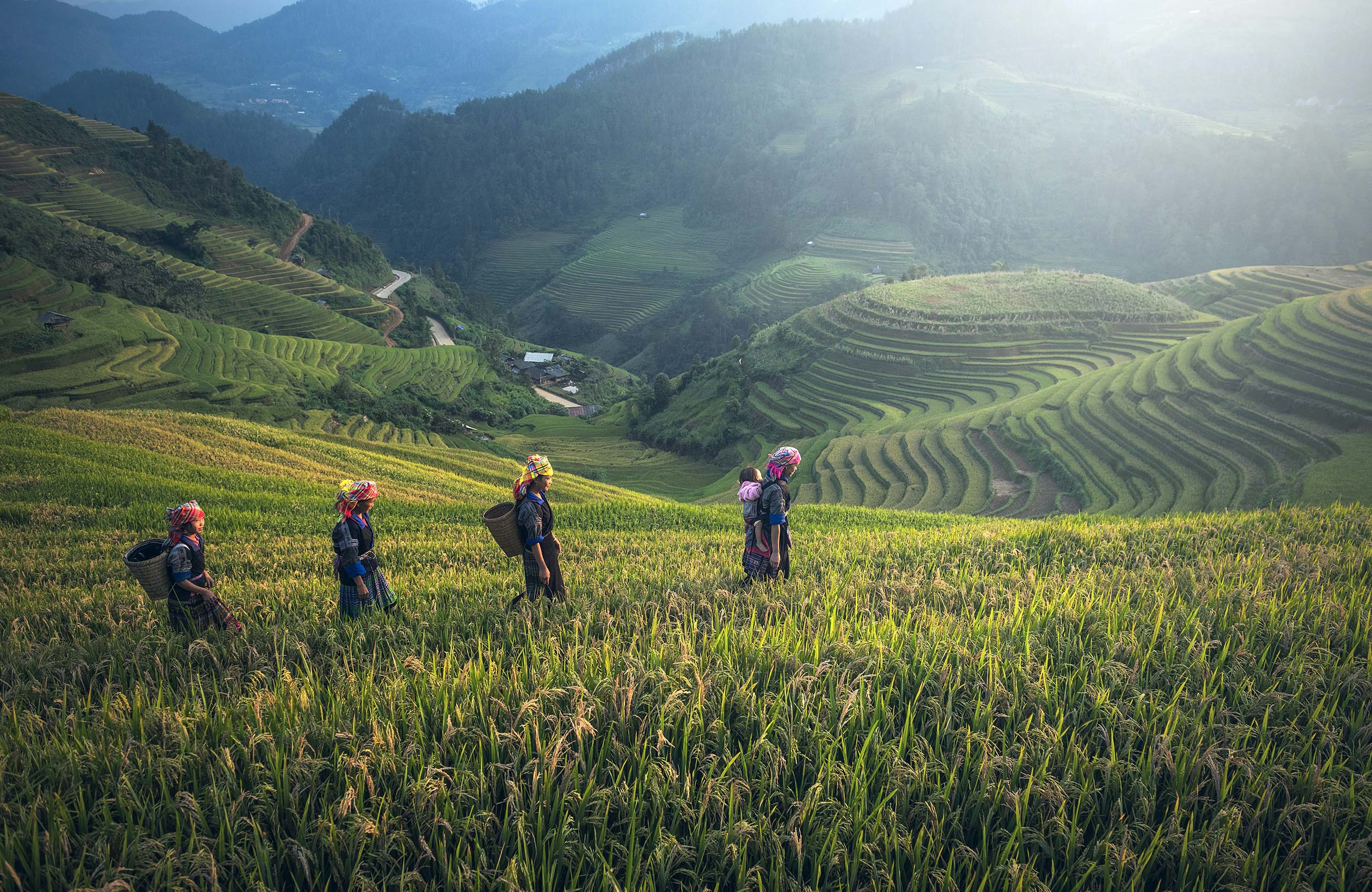 Four people walking through terraced fields