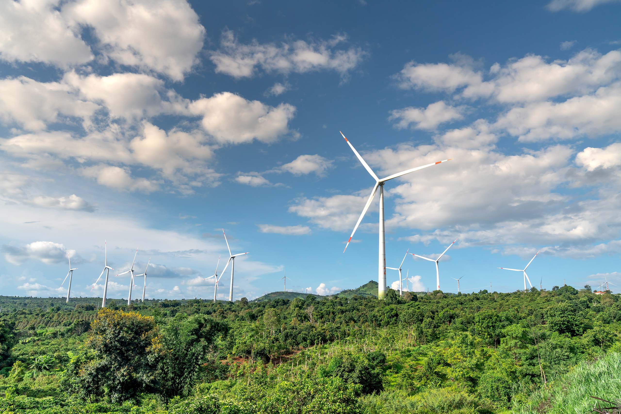 A wind farm in a lush forested area